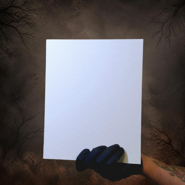 516 Fine - Alcotpanel Acrylic Canvas Board (Cotton Polyester) | 3MM | 8x10" | Secret Shop
